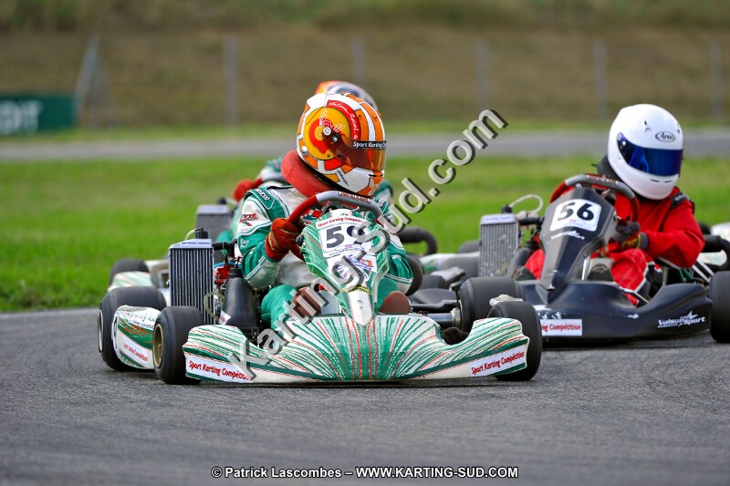 DSC_ (595).jpg